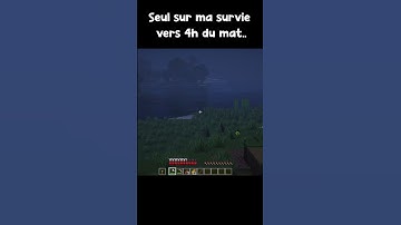 Quand Herobrine spawn dans ta survie.. #minecraft