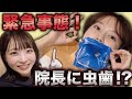 痛くなる前に発見!たった1回で終わる虫歯治療!