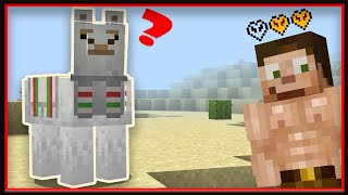 3RD Life SMP  episode 2:  What Happened To Pizza?!