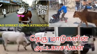 தெரு மாடுகளின் அட்டகாசங்கள் | MAD STREET COWS | BEWARE OF STREET COWS 2 | COFFIN DANCE | AWARENESS