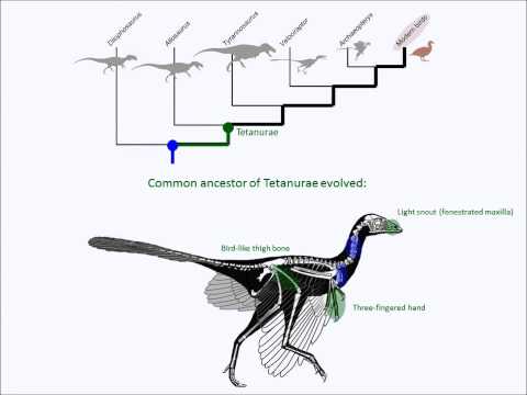 La receta para convertir un gran dinosaurio en un pájaro