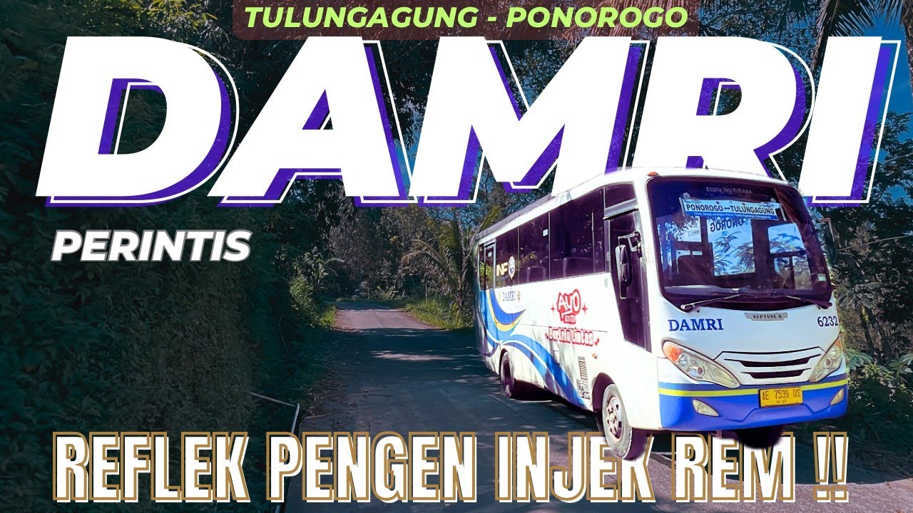 TARIF CUMA 16.000 !! | RUTE UNIK DI LINGKAR GUNUNG WILIS | DAMRI PERINTIS TULUNGAGUNG - PONOROGO