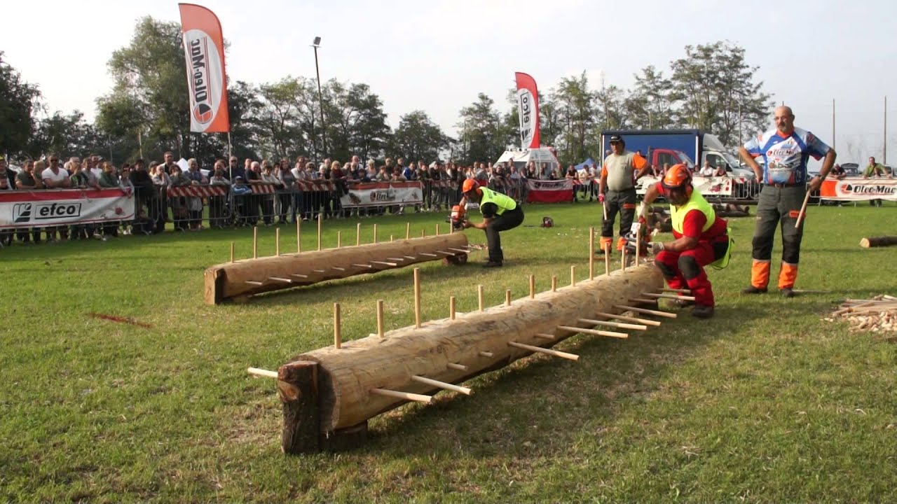 Triathlon del boscaiolo 2014 - Prova di sramatura