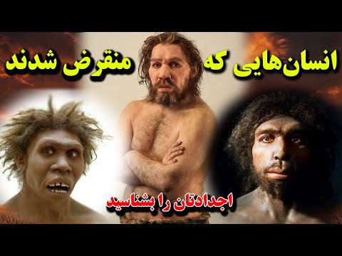 تصویری: چگونه موجودات زنده تولید مثل می کنند