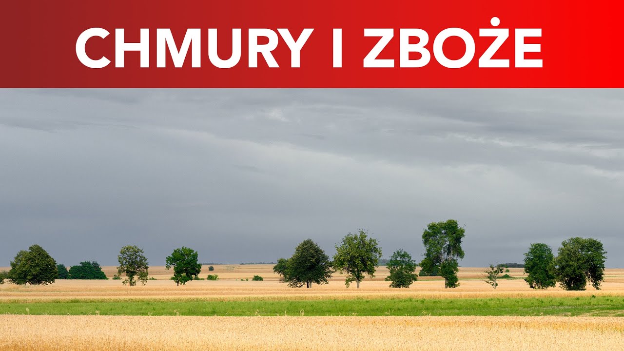 Chmury i zboże. I nawet trochę o malarstwie pejzażowym :)