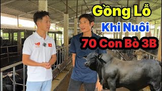 Bearing Losses When Raising 70 Cows 3b || Agriculture 247
