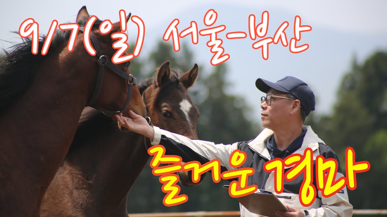 김호경마 9월 7일 일요일 서울-부산 경마방송!