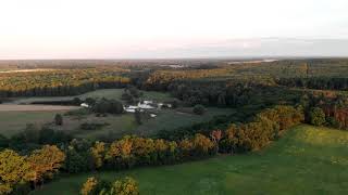 2020 07 11 Dąbrowa Niedaleko Milska I Rozlewiska Odry