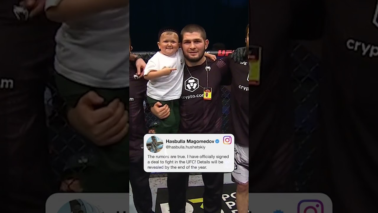 Hasbulla says the deal is done 😅 - YouTube