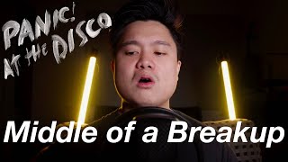 Panic! At the Disco - Middle of a Breakup - Acoustic Cover