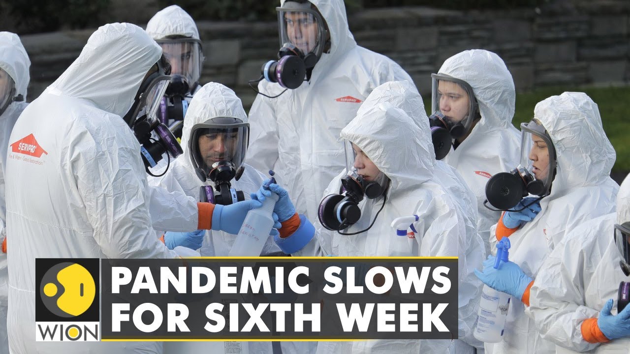 Japan: 48% decrease in cases of COVID-19 |Latest World English News |WION