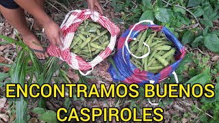 FUIMOS EN BUSCA DE CASPIROLES // ENCONTRAMOS TODO ESTO