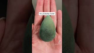 Moldy Makeup Sponge?!?!