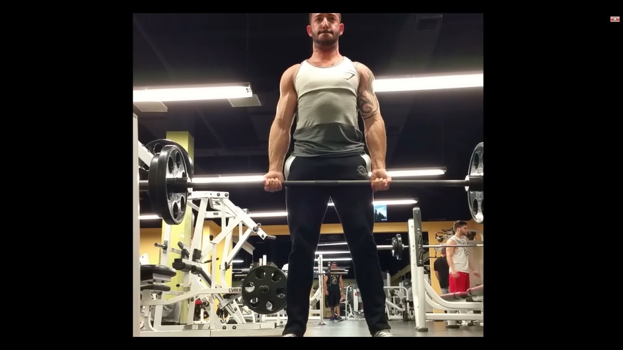 Vlog 1 Chest and back training split YouTube
