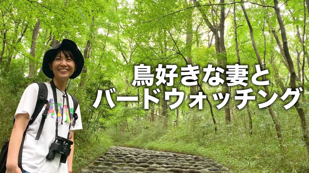鳥が大好きな妻をバードウォッチングに連れて行ったら大はしゃぎしてました Youtube 鳥が大好きな妻をバードウォッチングに連れて行ったら大はしゃぎしてました Youtube