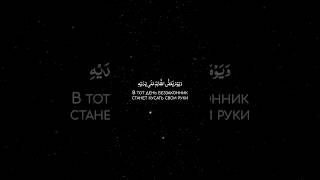 Салман аль Утайби #коран #quran #quranrecitation #красивоечтениекорана