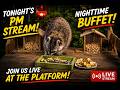 The Platform Doesn't Stay Empty For Long 🌙🐿️🦝 | Live Wildlife Camera | June 19, 2026