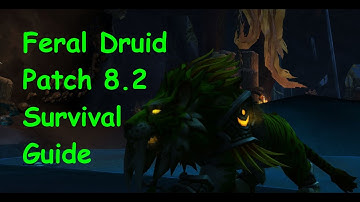 Feral Druid BFA 8.2 Consumables, Enchants And More!