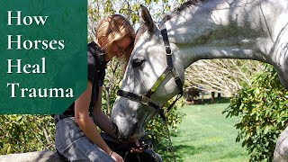 Integrative Equine Therapy How Can Horses Help Heal Trauma?