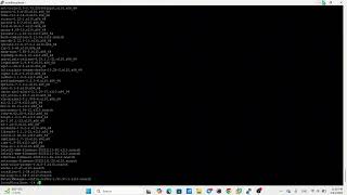 Install Packages in CentOS (RPM, YUM, DNF)