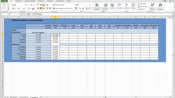 Excel 7-2 Absolute en relatieve celverwijzing in één formule