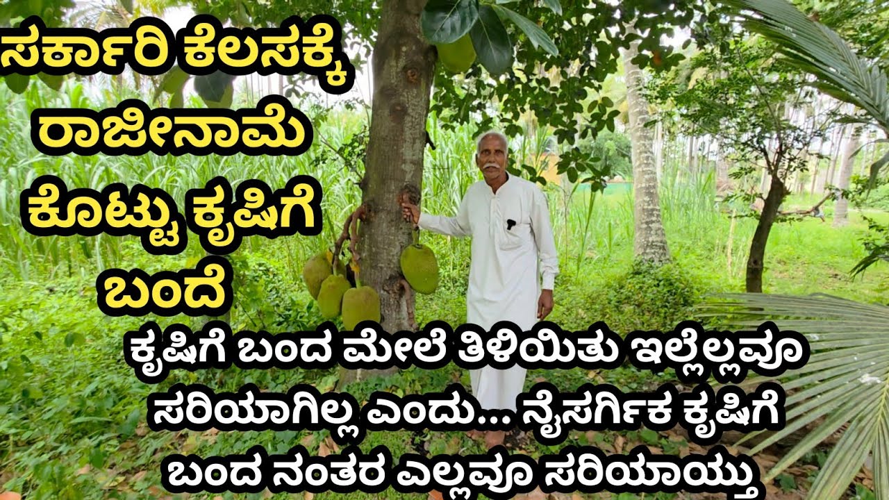 ಆಧುನಿಕ ಕೃಷಿಯಲ್ಲಿ ಬೇಸತ್ತು... ನೈಸರ್ಗಿಕ ಕೃಷಿಗೆ ಬಂದೆ ನಮ್ಮ ಹಿರಿಯರು ಮಾಡುತ್ತಿದ್ದ ನೈಸರ್ಗಿಕ ಪದ್ಧತಿಯನ್ನೇ ಮುಂದು