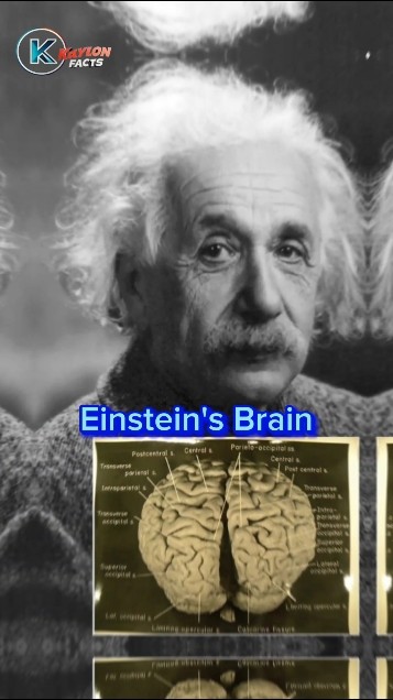 My Brain Was Breaking: The Shocking Truth About Male Power In "Traditional" Marriages - zzi4mqt