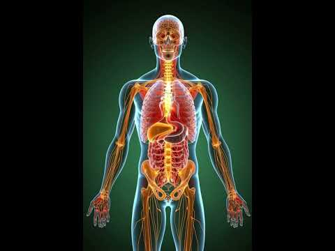 مازا يحدث لجسمك عند سماع الأغاني 