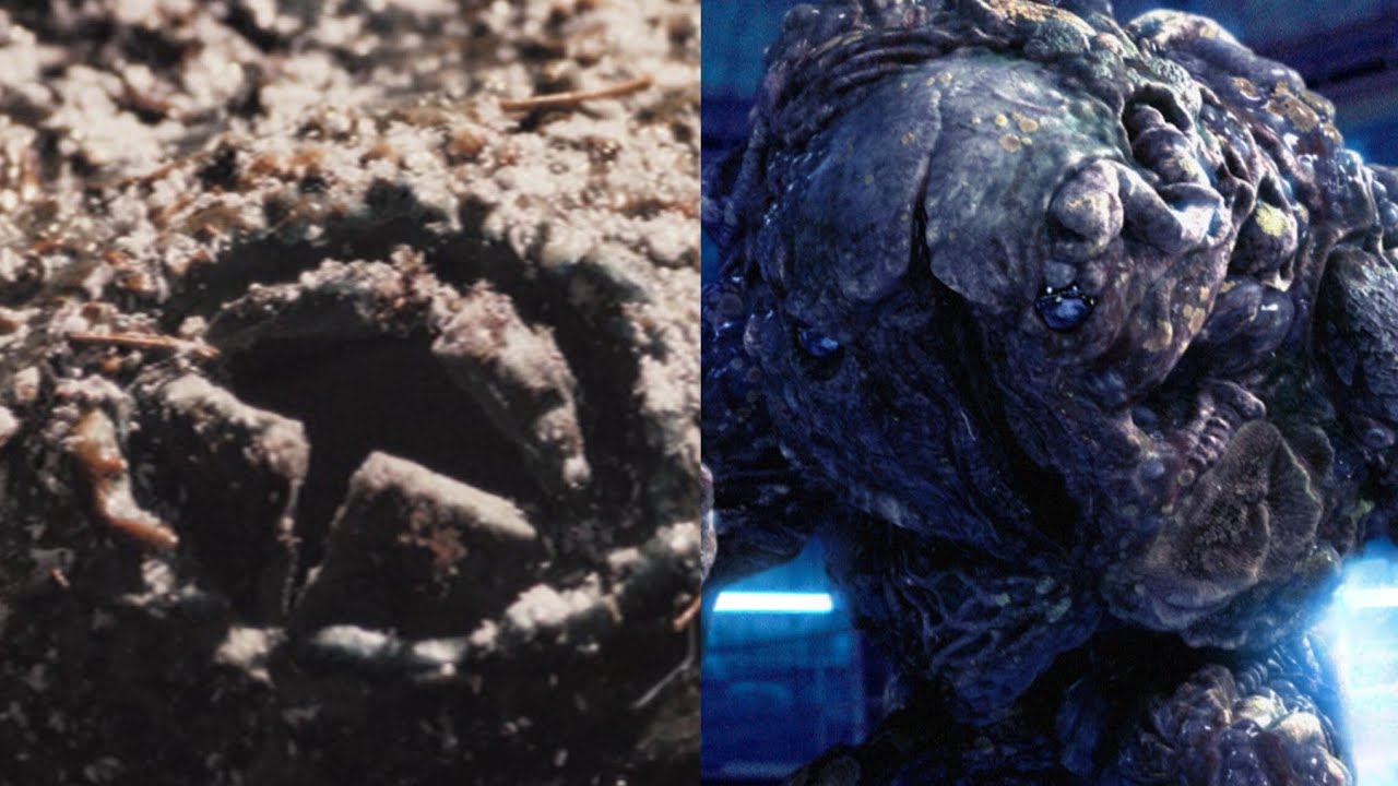 primeval future / killer fungus screen time