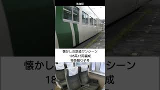 【懐かしの鉄道】昔の特急は長い!185系15両の踊り子号