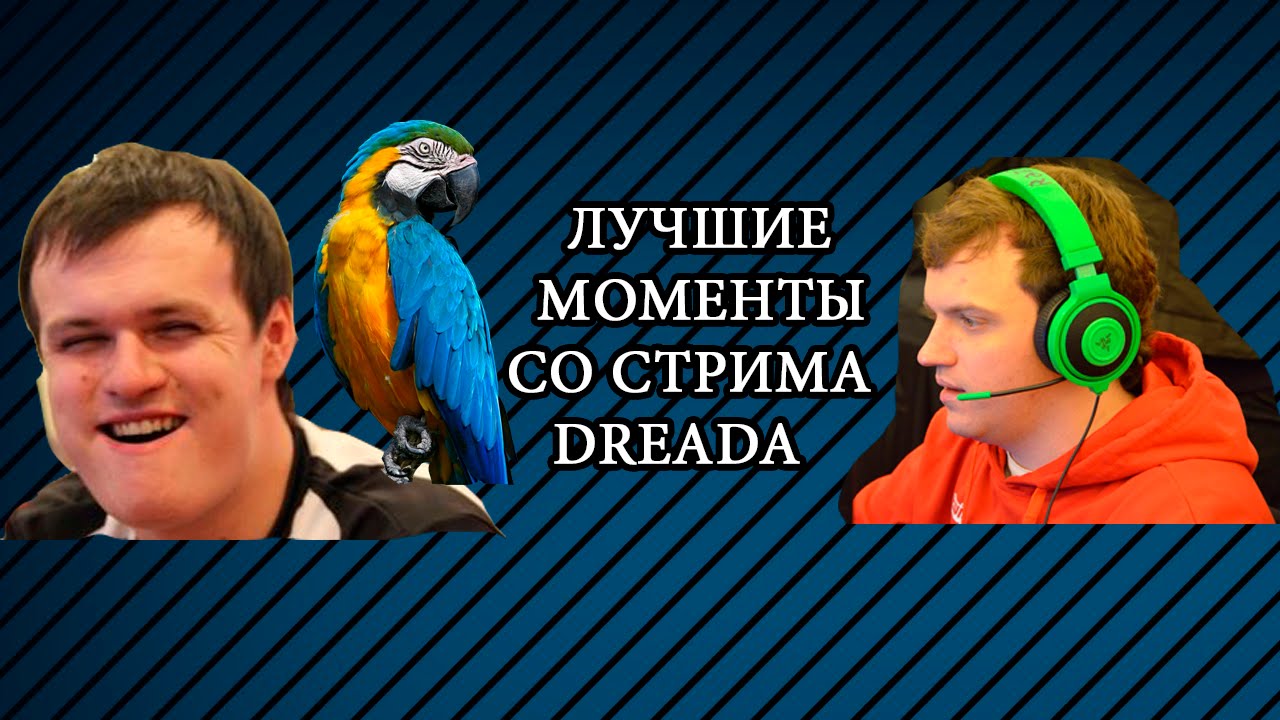 Dread стример. Dread стример