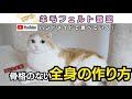 骨格のない「全身の作り方」　#羊毛フェルト　#羊毛フェルト猫　#羊毛フェルト犬 　#リアル羊毛フェルト　＃ニードルフェルト　#作り方