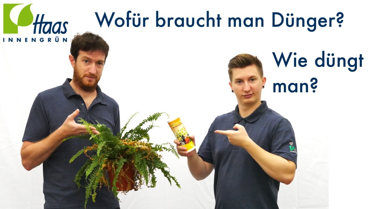 Dngen von Pflanzen, Zimmerpflanzen und Blumen - warum, wie oft, mit was?  Flssigdnger/ Volldnger