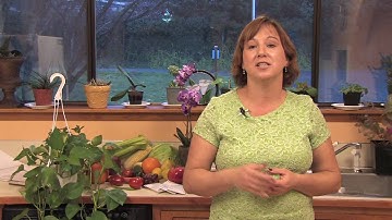 Gardening & Plant Care : How to Remove Dandelions Chemically