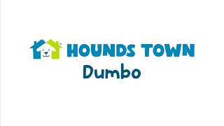 Hounds Town USA Store Walkthrough - Brooklyn - Dumbo, NY