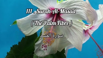 Surah Al-Masad ( The Palm Fibre ) سورة المسد in Urdu Translation.