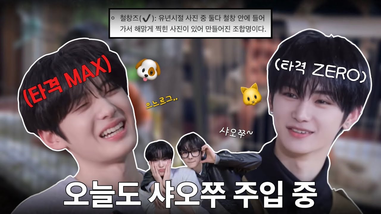 [ALD1/냥갱즈] 창과 방패 세젤귀 냥갱즈 케미 모음.zip 📁