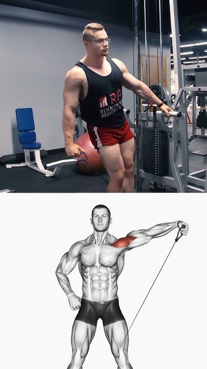 ТИР ЛИСТ ПЛЕЧИ Лучшие и Худшие Упражнения #shorts - YouTube