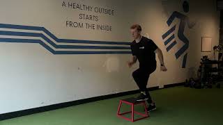 Alternating Step Up Hop