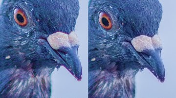 How to Manually Remove Chromatic Aberration