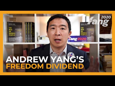 Andrew Yang's 2019 Freedom Dividend