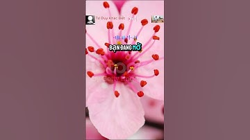 Nghĩ Ngược Để Nhìn Thấu Sự Thật