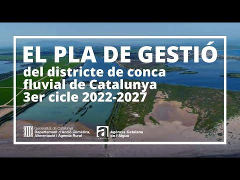 Vídeo: Què és el cicle de gestió de dades?