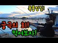 낚시 폭풍입질! 궁극의 회를 잡아서 먹어보자! 자급자족 낚시동영상 바다낚시 Let's catch fish and eat them