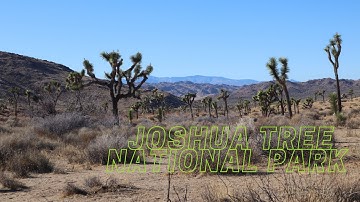 A few hours in Joshua Tree National park ( Hidden Valley trail )