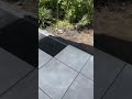 Watch THIS! IF you want so See Great Work #shortsviral #stihl #beforeandafter #workhard #viral #f4f