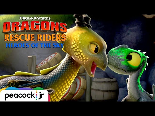 Copycat Dragon Takes Over | DRAGONS RESCUE RIDERS: HEROES OF THE