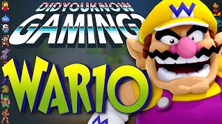 Wario - Did You Know Gaming? Feat. Jimmy Whetzel