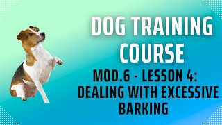 DOG TRAINING COURSE | Mod.6 - Lesson 4: Addressing excessive barking issues