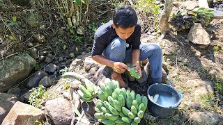 Menyambut Lebaran 2024, Aku Goreng Keripik Pisang Kepok